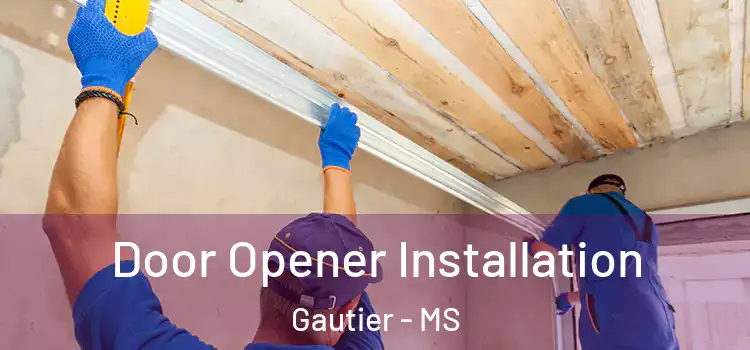 Door Opener Installation Gautier - MS