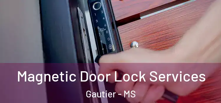 Magnetic Door Lock Services Gautier - MS